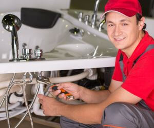 About Plumbers Pros McDonald, TN